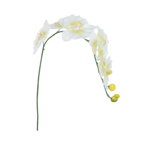 Orchidea – vetvička 63 cm K367